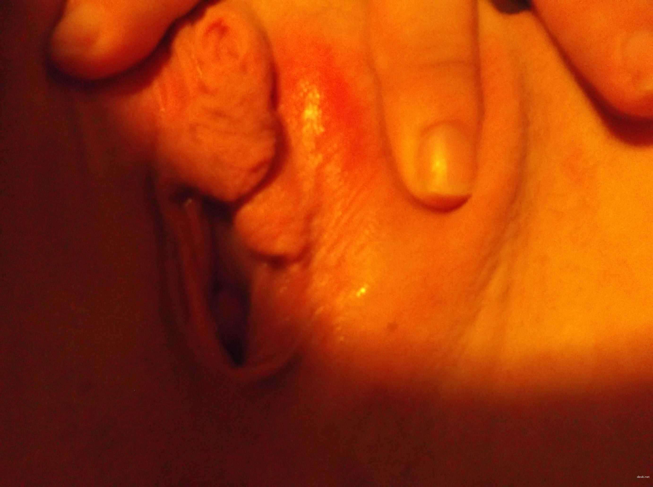 Teen Girl's Naughty Sex Shenanigans: Explicit XXX Fun