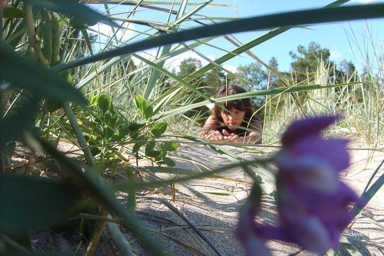 Wild Beach Party: Hot Fun in the Sun