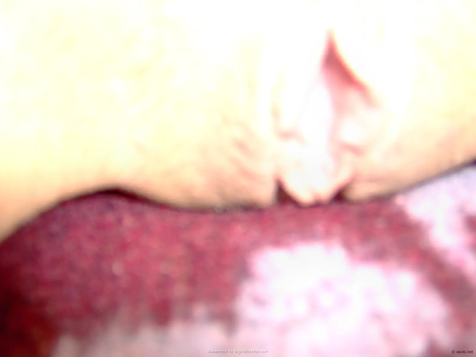 Spread Pussy with Fingers: Explicit Solo Masturbation
