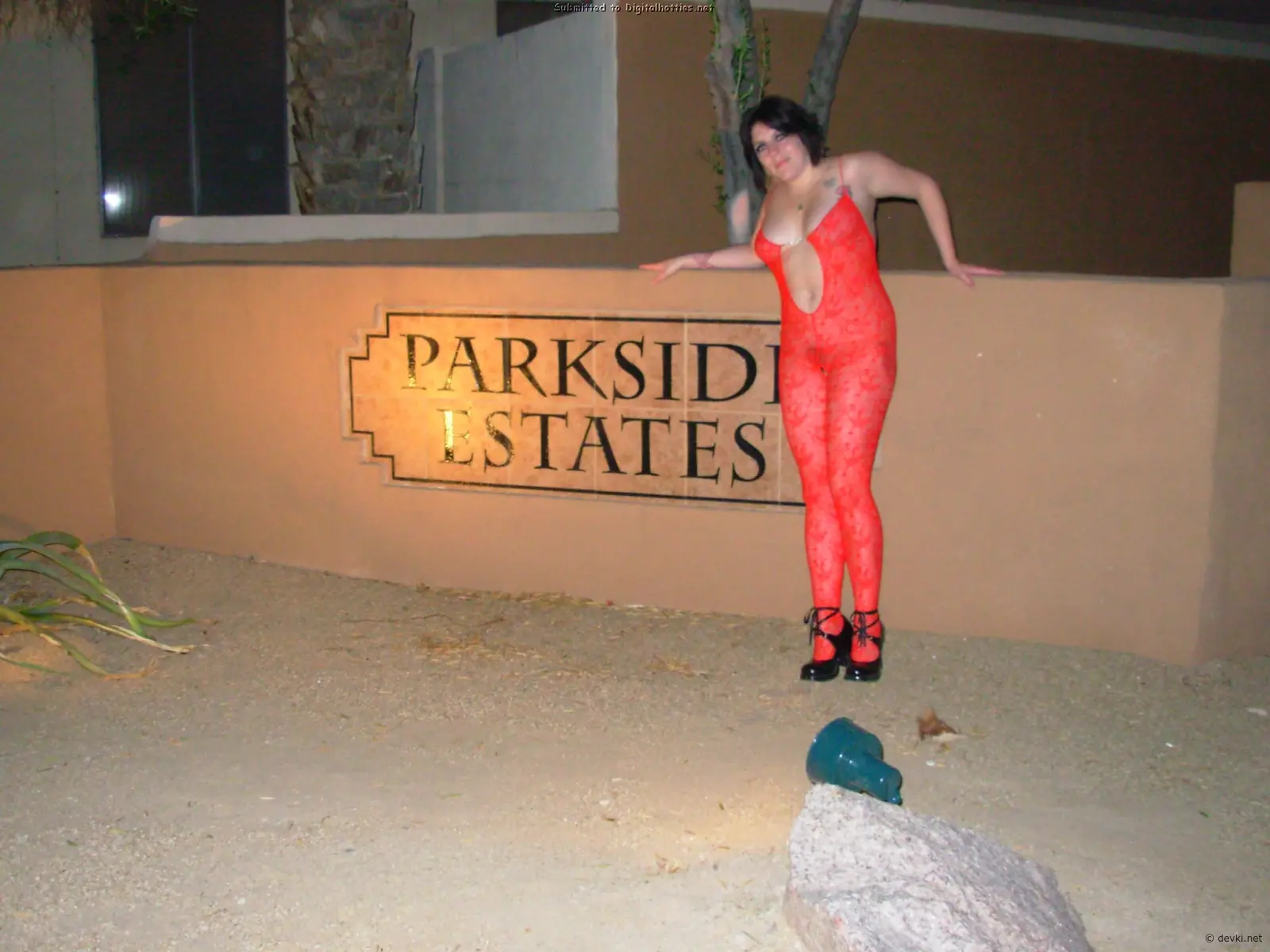 Mature Slut Flaunts Herself: Explicit and Provocative Photo of a Seductive Woman