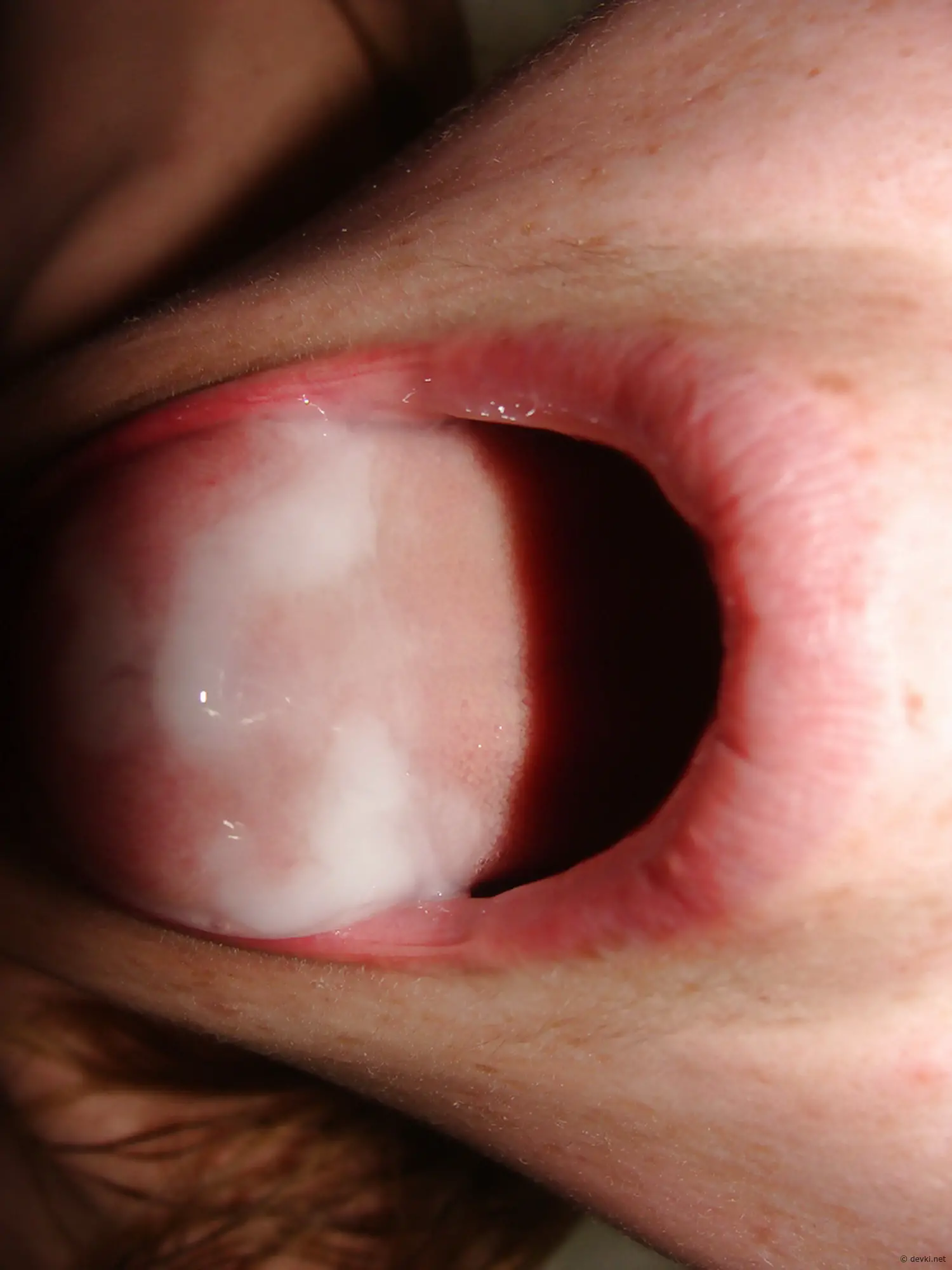 Intimate Close-Up Sex: Explicit Porn Photo Focusing on Popular Keywords