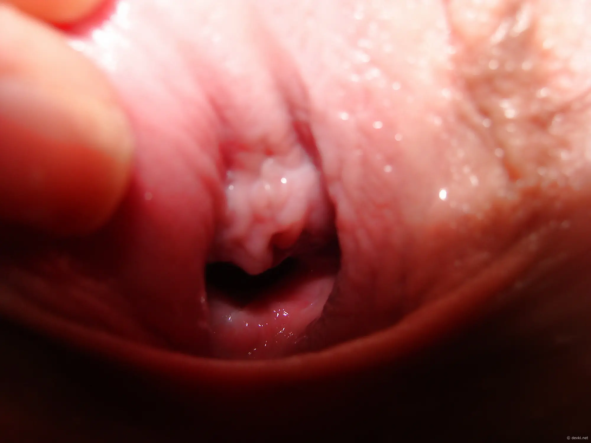 Intimate Close-Up Sex: Explicit Porn Photo Focusing on Popular Keywords