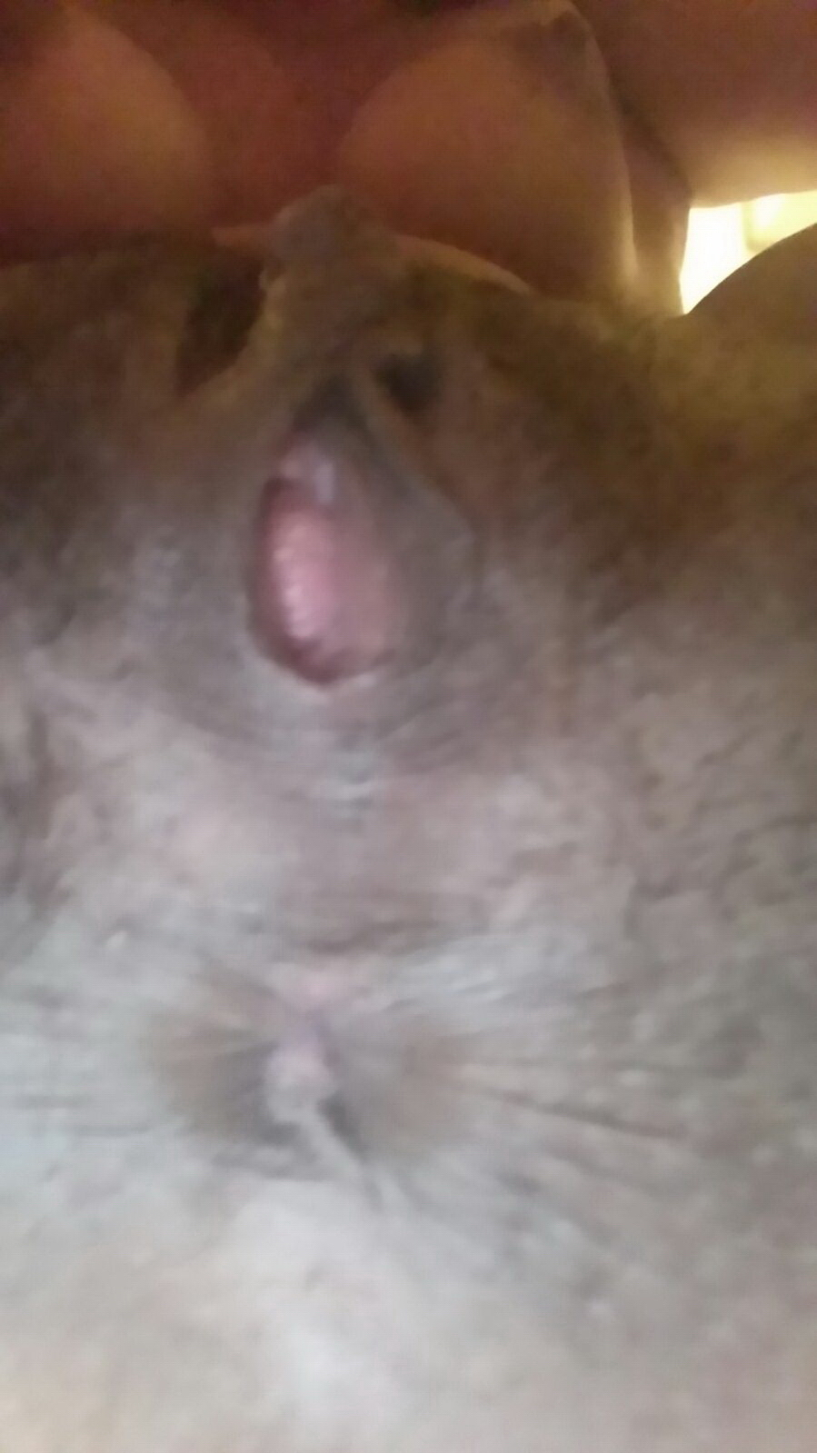 Intense Facial Cumshot & Hardcore Sex with Busty Mixed Race Beauty