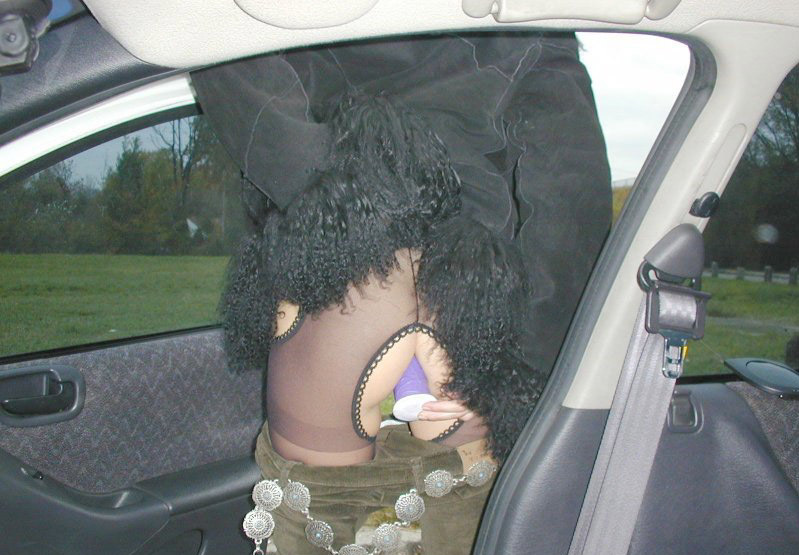 Wife Inserts Anal Toy in Car - Explicit Amateur Porn Photo