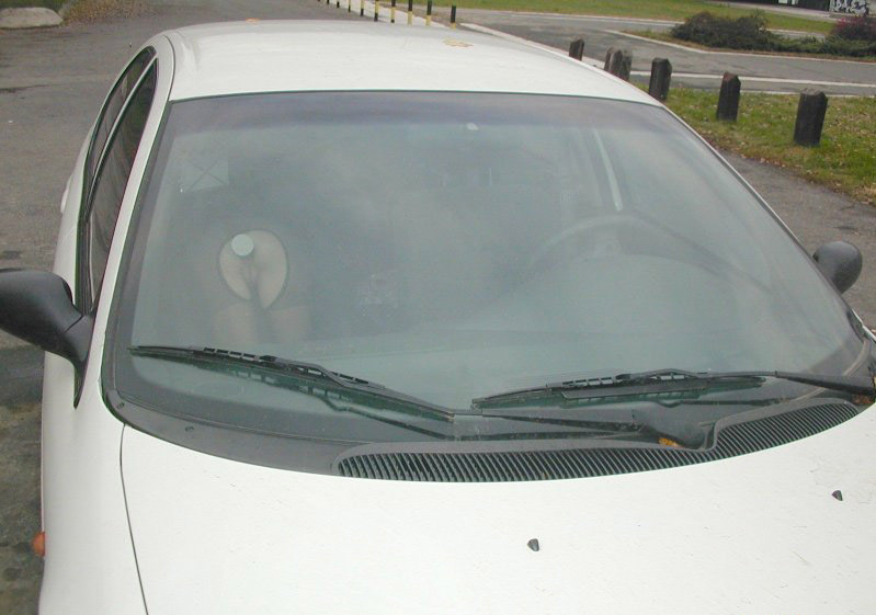 Wife Inserts Anal Toy in Car - Explicit Amateur Porn Photo